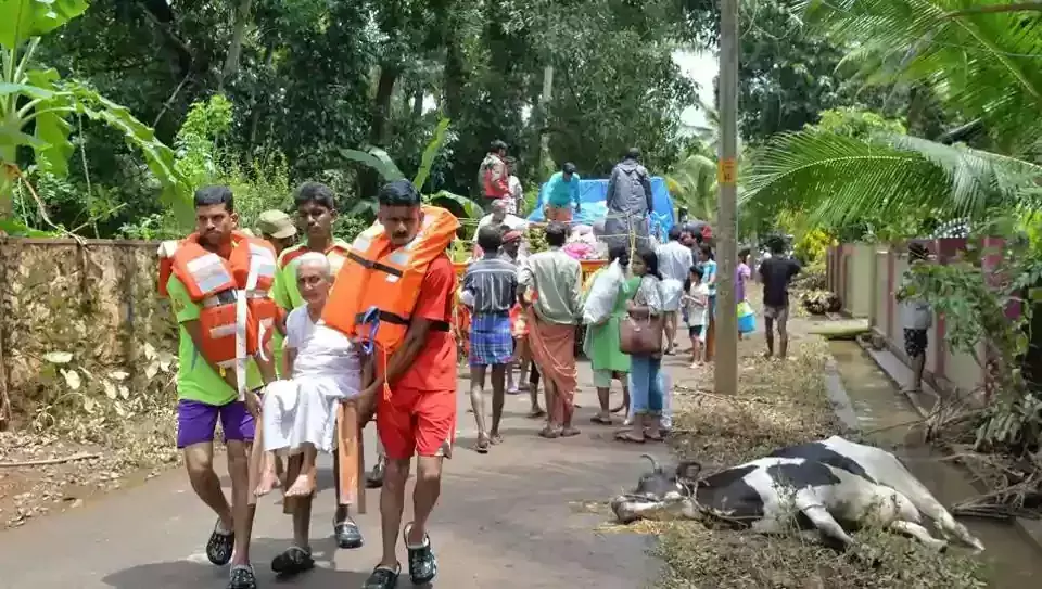 പക്ഷിമൃഗാദികളുടെ ശവശരീരങ്ങള്‍ മറവു ചെയ്യുമ്പോള്‍ ശ്രദ്ധിക്കേണ്ട കാര്യങ്ങള്‍