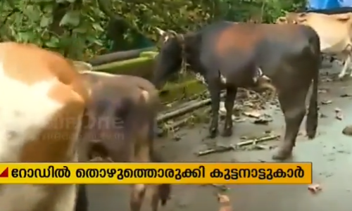 വേണ്ടിവന്നാല്‍ കുട്ടനാട്ടുകാര്‍ പാലവും പശുത്തൊഴുത്താക്കും