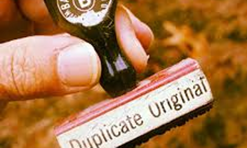 കോഴിക്കോട് കരകയറുന്നു; മഴക്കെടുതി നഷ്ടപ്പെടുത്തിയ രേഖകള്‍ സെപ്റ്റംബര്‍ 15 നകം