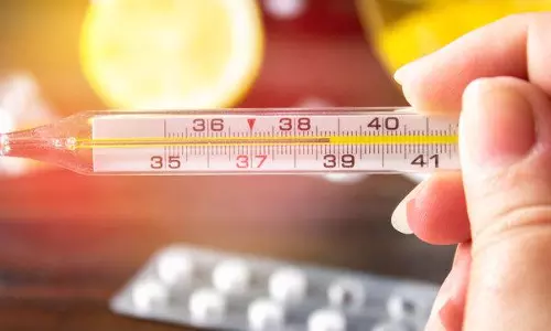 ഡെങ്കിപ്പനി പ്രതിരോധം; മസ്കത്തിന്റെ വിപുലമായ കൊതുക് നിവാരണ കാമ്പയിന് നാളെ സമാപനം