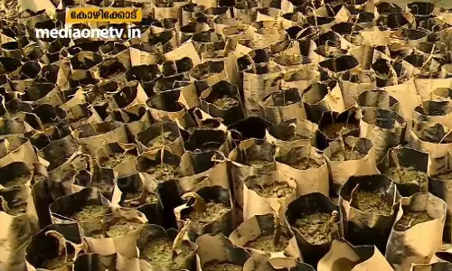 ഹൈടെക് നഴ്സറി ഒലിച്ചുപോയി; ചന്ദ്രന് നഷ്ടം ലക്ഷങ്ങള്‍  