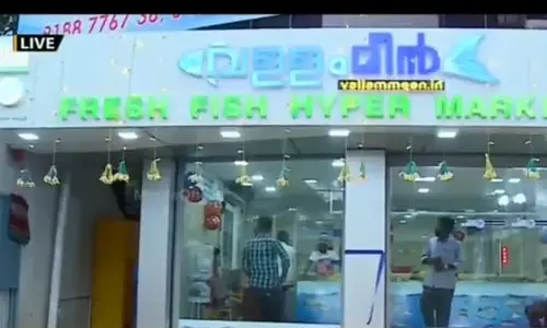 മീന്‍ പിടിക്കല്‍ ഹോബി, മീന്‍ കഴിക്കാനിഷ്ടം: മീന്‍ കച്ചവടം തന്നെ തുടങ്ങി ഈ സുഹൃത്തുക്കള്‍