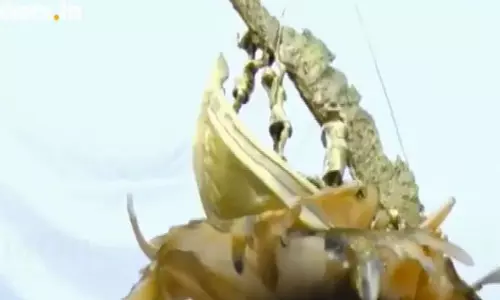 കേരളത്തെ കരകയറ്റാന്‍ സഹായിച്ചവര്‍ക്ക് ആദരമര്‍പ്പിച്ച് ശില്‍പ്പം