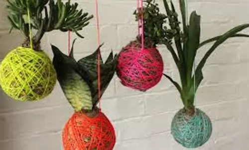 കൊക്കഡാമയെ പരിചയപ്പെടാം...