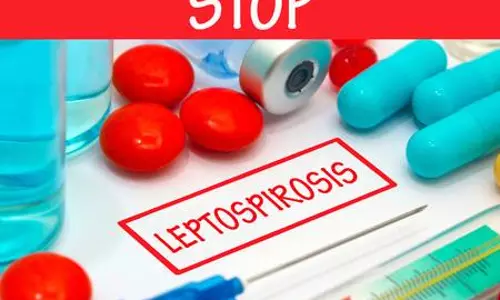 രോഗലക്ഷണങ്ങളുമായി എത്തുന്ന എല്ലാവര്‍ക്കും എലിപ്പനിക്കുള്ള ചികിത്സ