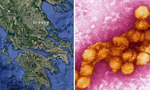 ഗ്രീസില്‍ ഭീതി പടര്‍ത്തി വെസ്റ്റ് നൈല്‍ വൈറസ്; മരണസംഖ്യ 21 ആയി