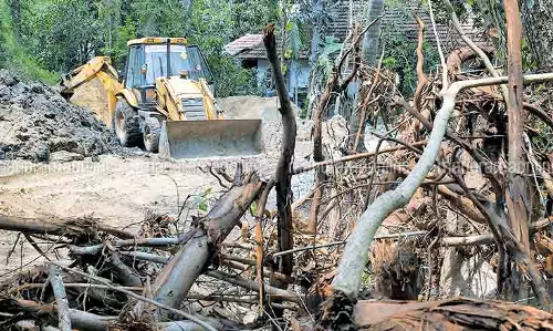 ശാന്തിവനത്തിലെ  ടവര്‍ നിര്‍മാണം;കെ.എസ്.ഇ.ബി കോടതിയെ തെറ്റിദ്ധരിപ്പിച്ചെന്ന് സമരസമിതി