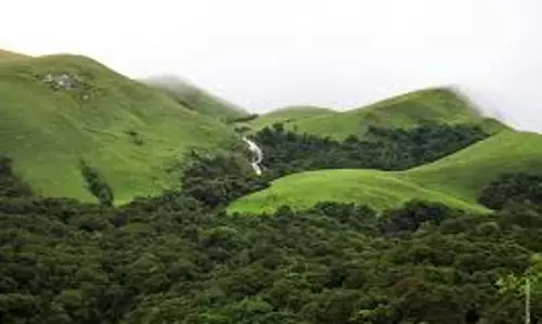 കസ്തൂരിരംഗന്‍ കരട് വിജ്ഞാപനത്തിലെ പരിസ്ഥിതി ലോല മേഖലകളില്‍ മാറ്റം വരുത്തരുത്: ദേശീയ ഹരിത ട്രിബ്യൂണല്‍
