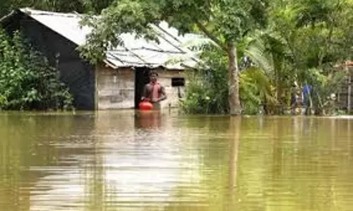 പണം മുന്‍കൂര്‍ വാങ്ങി കരാറുകാര്‍‌; എന്നിട്ടും പമ്പിംങ് ആരംഭിക്കാതെ കുട്ടനാട്ടെ പല പാടങ്ങളും