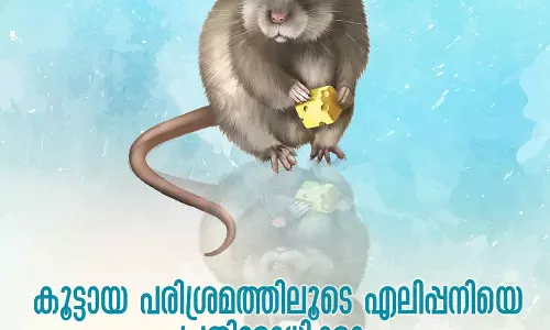 എന്താണ് എലിപ്പനി..? എങ്ങിനെ തടയാം