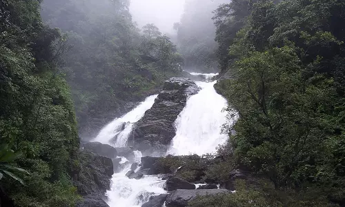 ആറളത്ത് ഉരുള്‍‌പൊട്ടല്‍: ചീങ്കണ്ണിപുഴ, കക്കുവ പുഴ എന്നിവ‌ കരകവിഞ്ഞു