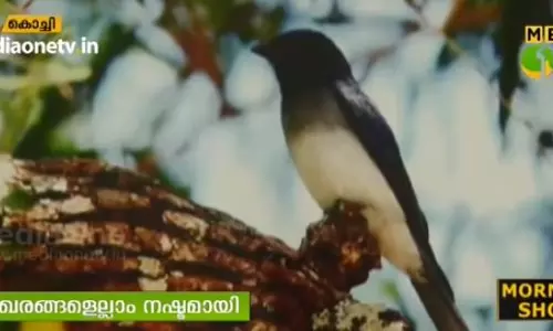 പെരിയാര്‍ കരകവിഞ്ഞ് ഒഴുകിയതോടെ തട്ടേക്കാട് പക്ഷി സങ്കേതം വെള്ളത്തിനടിയിലായി  