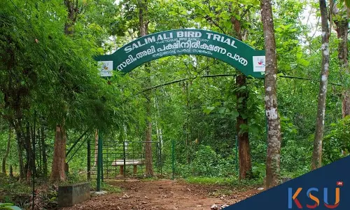 പ്രളയമൊഴിഞ്ഞു, സഞ്ചാരികളെ വരവേറ്റ് തട്ടേക്കാട് പക്ഷിസങ്കേതം