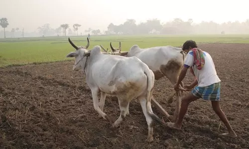വന്‍കിട കമ്പനികള്‍ക്ക് 58561 കോടി ‘കാര്‍ഷിക’ വായ്പ നല്‍കി ബാങ്കുകളുടെ തട്ടിപ്പ്