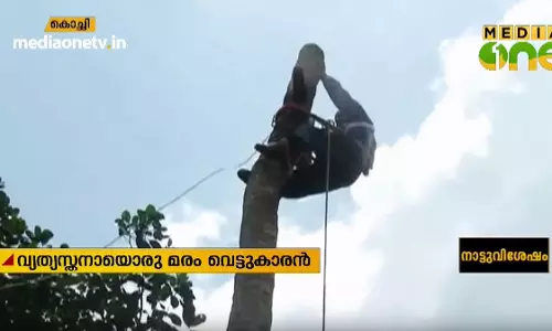 ദേ... ഇങ്ങനെ വേണം മരംവെട്ടാന്‍... സാബുവിന്റെ സാഹസിക പ്രകടനം 