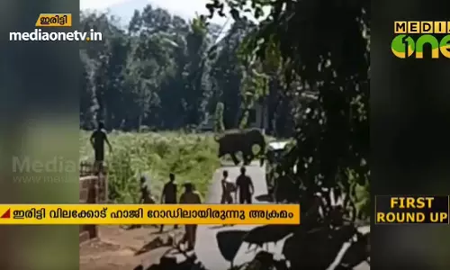 കണ്ണൂര്‍ ഇരിട്ടിയില്‍ കാട്ടാനയുടെ വിളയാട്ടം