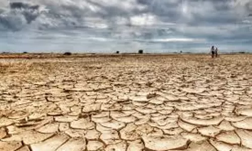 കനത്ത ചൂട്; പാലക്കാട് വരള്‍ച്ചയിലേക്ക്