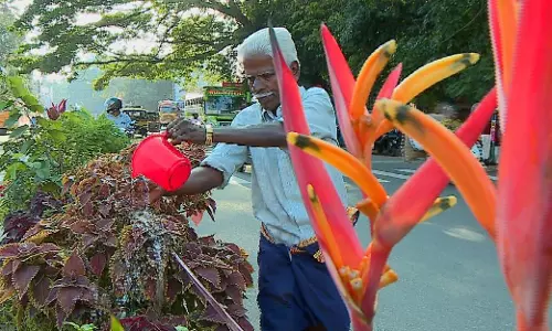 ദേശീയപാത ഡിവൈഡറില്‍ പൂവിരിച്ച് മാധവന്‍ 