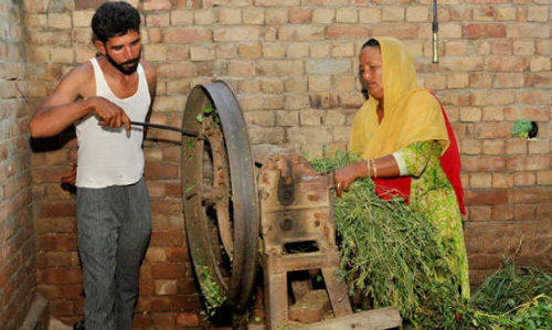 കടം വാങ്ങിയ 200 രൂപ കൊണ്ട് ലോട്ടറി എടുത്തു; ഭാഗ്യദേവത കടാക്ഷിച്ചപ്പോള്‍ കിട്ടിയത് ഒന്നര കോടി