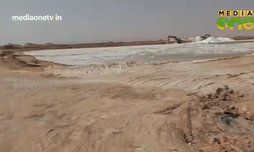 Weekend Arabia | മരുഭൂമിയിലെ ഉപ്പ് (Epi282 Part2)  