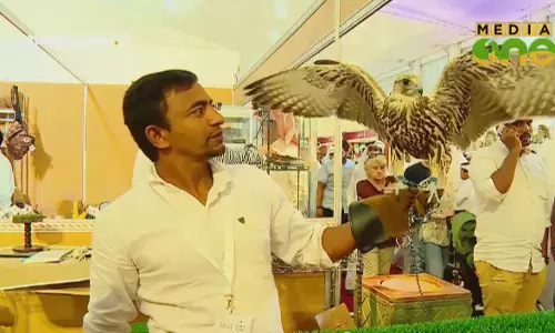 Weekend Arabia | ഖത്തറിലെ സമാപിച്ച രണ്ടാമത് ഹണ്ടിങ് മത്സരം (Epi282 Part3)  