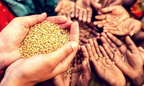 പട്ടിണിക്കെതിരെയുള്ള പോരാട്ടത്തിൽ പങ്കാളികളായി മൈക്രോസോഫ്റ്റും ഗൂഗിളും ആമസോണും