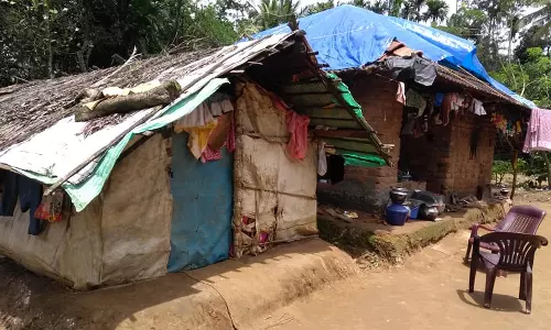 കൊല്ലത്ത് ആദിവാസി ഊരുകളില്‍ അപൂര്‍വ്വരോഗം