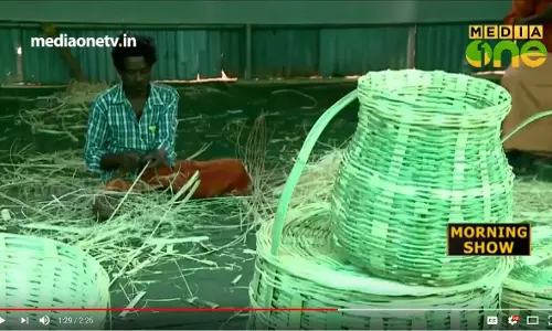 ഇന്ന് ലോകമുളദിനം; ചില മുള വിശേഷങ്ങള്‍..