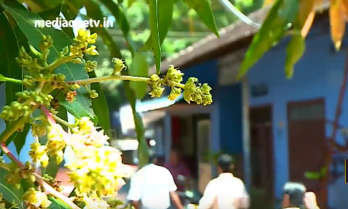 തകഴിയുടെയും വയലാറിന്റെയുമൊക്കെ താവളമായിരുന്ന നീലഗിരി ലോഡ്ജ് ഓര്‍മയാകുന്നു