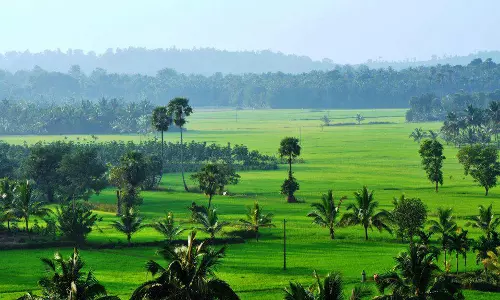 ന്യൂനമര്‍ദ്ദം  അകന്നു; 5 ജില്ലകളിലെയും ഓറഞ്ച് അലര്‍ട്ട് പിന്‍വലിച്ചു