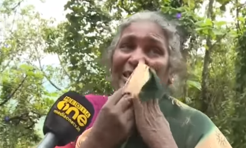 കാട്ടാനകള്‍ കൂട്ടമായി നാട്ടിലേക്ക്; ഭീതിയില്‍ ഹൈറേഞ്ചുകാര്‍