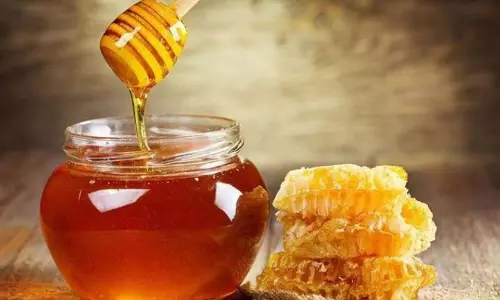 കുറഞ്ഞ മുതല്‍മുടക്കില്‍ ചെറുതേന്‍ കൃഷി ചെയ്യാം; ടിപ്സുകള്‍ ജോസഫേട്ടന്‍ പറഞ്ഞുതരും