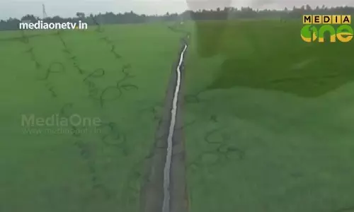 Weekendarabia | ഗൾഫിലെ തരംഗമായ ആ കേരളാപ്പാട്ട് (Epi284Part3) 