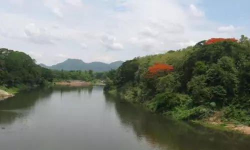 മാമ്പുഴയുടെ തീരങ്ങളില്‍ വ്യാപകമായ ഭൂമി കയ്യേറ്റം