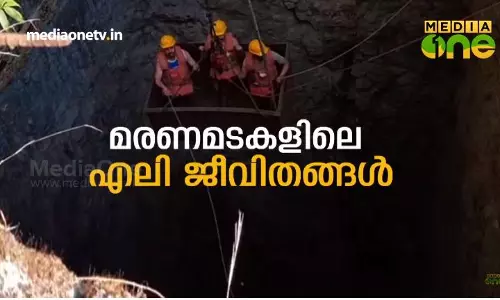 മരണമടകളിലെ എലിജീവിതങ്ങള്‍ 