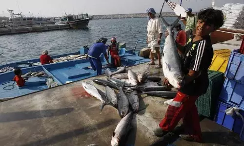 മത്സ്യ ബന്ധന മേഖലയിലെ സ്വദേശിവത്കരണം; കൂടുതല്‍ സമയം വേണമെന്ന് സ്വദേശികള്‍