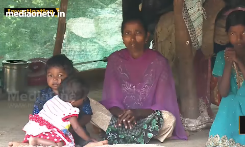 നാല് ഭാഗവും മറയ്ക്കാന്‍ പോലും കഴിയാത്ത ഈ ഓലക്കുടിലില്‍ കഴിയുന്നത് ഒരമ്മയും അഞ്ച് മക്കളുമാണ്