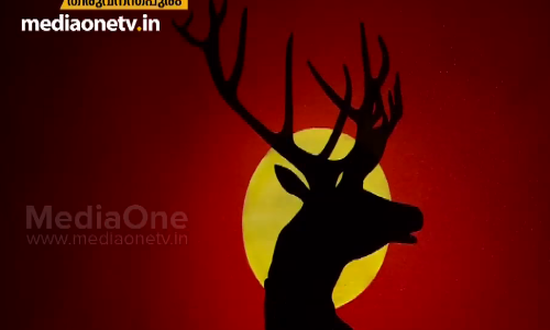 അറിയാമോ..ഇതെല്ലാം കോട്ടയം നസീര്‍ വരച്ച ചിത്രങ്ങളാണ്