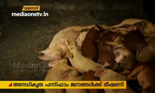 മേപ്പാടിയിലെ അനധികൃത പന്നിഫാമിനെതിരെ പരാതി