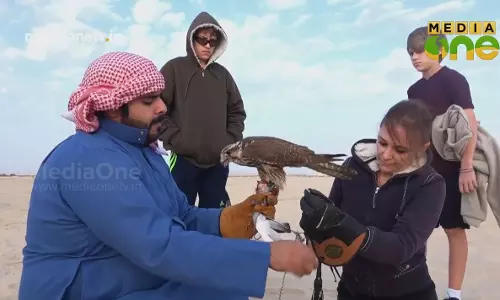 Weekendarabia | അറബികളുടെ അരുമസന്താനങ്ങളായ ഫാൽക്കൺ പക്ഷികൾ (Epi285Part3) 