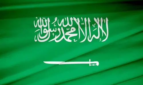 സ്വാതന്ത്ര്യത്തിന്റെ പേര് പറഞ്ഞ് രാജ്യവിരുദ്ധ പ്രവര്‍ത്തനം; 1500 പേരെ  മൂന്ന് വര്‍ഷത്തിനിടെ അറസ്റ്റ് ചെയ്തിട്ടുണ്ടെന്ന് സൗദി 