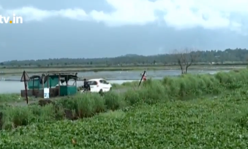കണ്ണെത്താ ദൂരത്തോളം കോള്‍പ്പാടങ്ങള്‍, കണ്ടു മതിവരില്ല പുള്ളിനെ