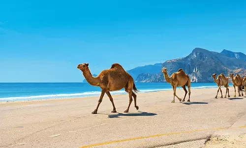 ലുബാന്‍ ചുഴലിക്കാറ്റ് ഒമാന്‍ തീരത്തേക്ക്; ബംഗാള്‍ ഉള്‍ക്കടലില്‍ മറ്റൊരു ന്യൂനമര്‍ദ്ദം കൂടി