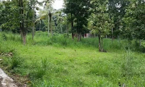 ഭൂരഹിതര്‍ക്കായുള്ള ഭൂമിയില്‍ പ്രവേശിക്കാന്‍ വഴിയില്ലാതെ 13 കുടുംബങ്ങള്‍