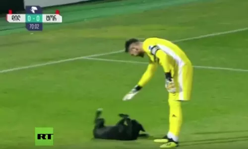 ഫുട്‌ബോള്‍ ഗ്രൗണ്ട് കീഴടക്കി നായ്ക്കൂട്ടം 