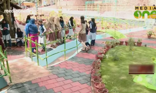 News Theatre | സംസ്ഥാനത്തെ ആദ്യ സ്പെഷ്യൽ പാർക്ക്  25-10-18