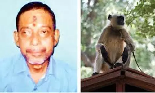 72കാരനെ കുരങ്ങുകള്‍ കല്ലെറിഞ്ഞ് കൊലപ്പെടുത്തി; കേസെടുക്കണമെന്ന് ബന്ധുക്കള്‍