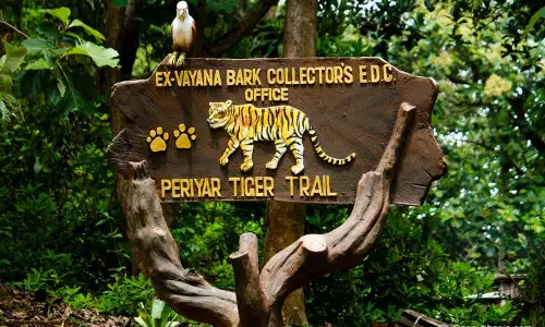 ശബരിമലയിലെ തിരക്ക്‌‌ കുറയ്‌ക്കണമെന്ന് ദേശീയ കടുവാ സംരക്ഷണ അതോറിറ്റി