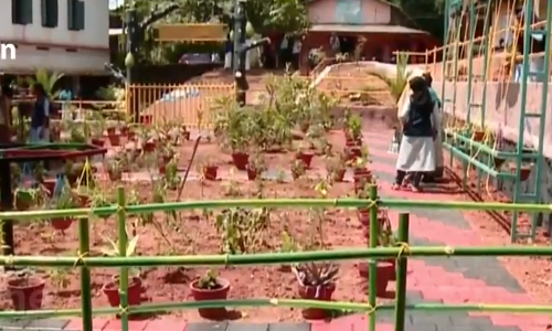 ഭിന്നശേഷിക്കാരായ വിദ്യാര്‍ത്ഥികള്‍ക്കായി ഹോര്‍ട്ടി കള്‍ച്ചര്‍ തെറാപ്പി ഗാര്‍ഡന്‍