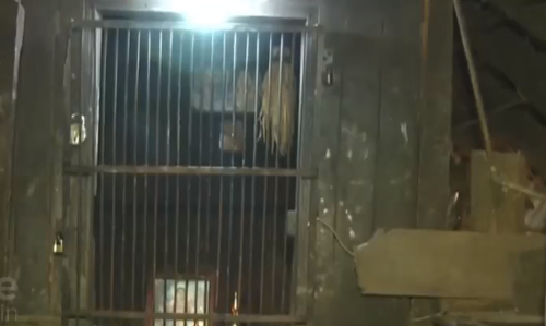 പൌരാണികത ചോരാതെ അയ്യപ്പന്‍ അന്തിയുറങ്ങിയ വീട്